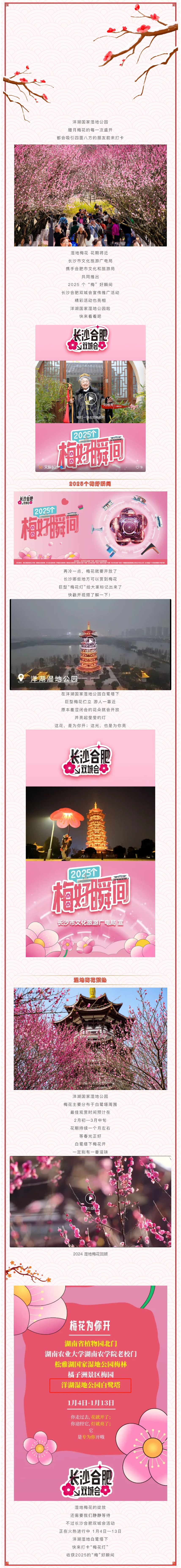 2025個梅好瞬間！打卡“梅花燈”，靜候洋湖濕地梅花開.png